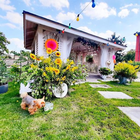 Pokoje Hotelowe Siedlczanka Siedlce Extérieur photo
